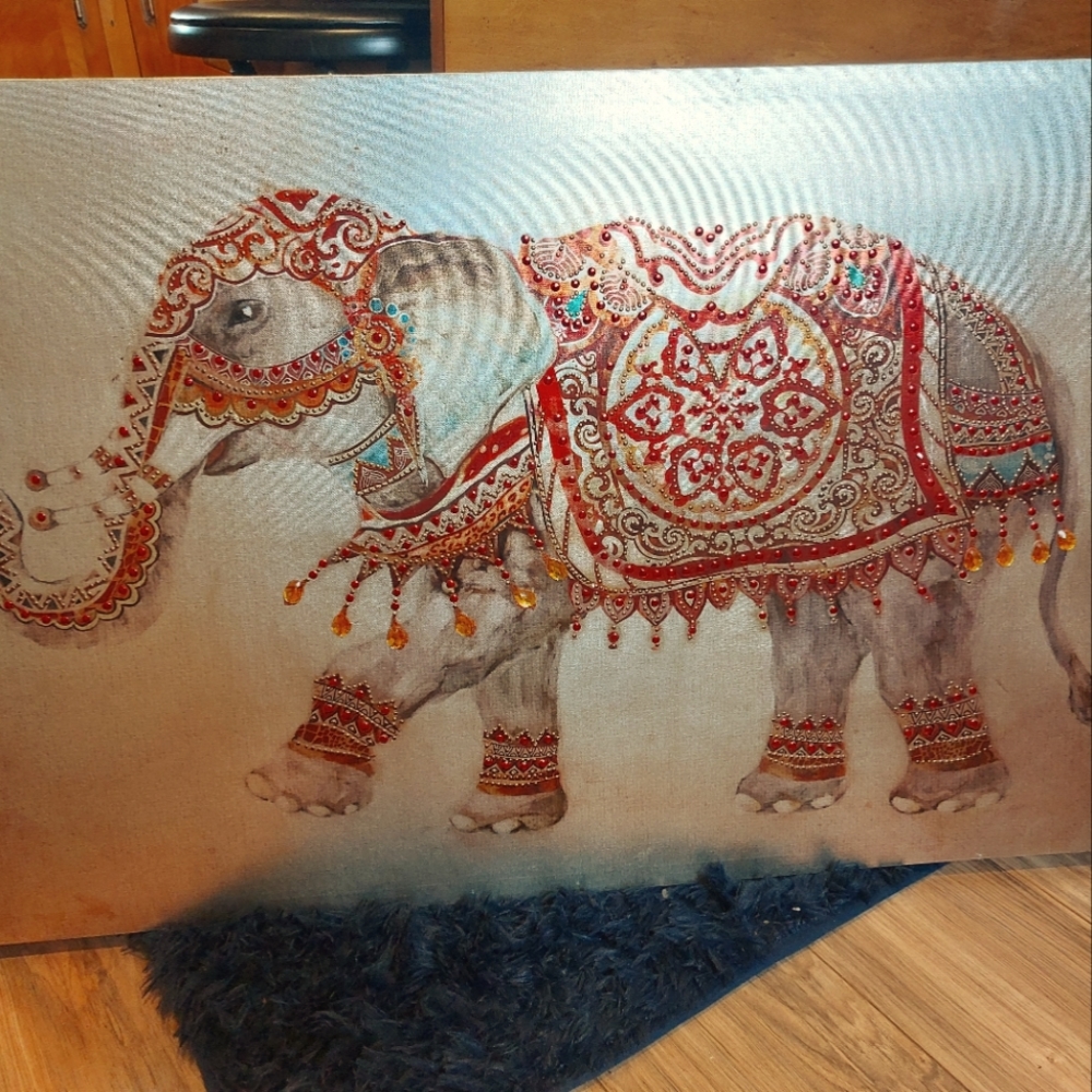 Beautiful elephant picture